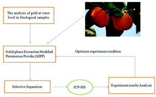 Graphical abstract: A modified persimmon powder sorbent for selective separation and determination of trace gold in geological samples by ICP-MS