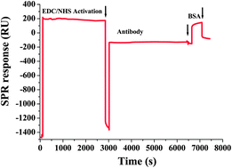 Graphical abstract: A immunosensor for the diagnosis of canine distemper virus infection using SPR and EIS