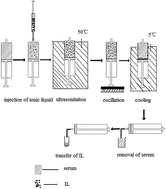 In-syringe ionic liquid dispersive liquid–liquid microextraction for ...