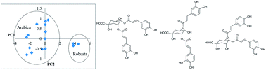 Graphical abstract: Which spectroscopic technique allows the best differentiation of coffee varieties: comparing principal component analysis using data derived from CD-, NMR- and IR-spectroscopies and LC-MS in the analysis of the chlorogenic acid fraction in green coffee beans