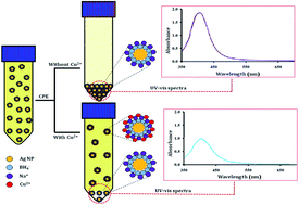 Graphical abstract: Colorimetric sensing of copper based on its suppressive effect on cloud point extraction of label free silver nanoparticles