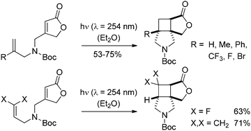 Graphical abstract: Conformationally restricted pyrrolidines by intramolecular [2+2] photocycloaddition reactions