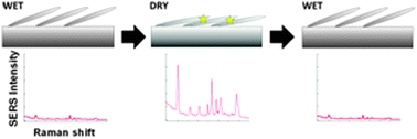 Graphical abstract: Controllable and reversible hot spot formation on silver nanorod arrays