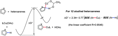 Graphical abstract: Linear correlation between the C–H activation barrier and the C–Cu/C–H bond dissociation energy gap in Cu-promoted C–H activation of heteroarenes