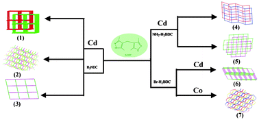 Graphical abstract: Stoichiometry, temperature, solvent, metal-directed syntheses of metal–organic frameworks based on flexible V-shaped methylenebis(3,5-dimethylpyrazole) and various aromatic dicarboxylate acids