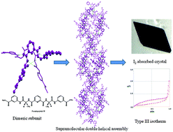 Graphical abstract: Can a single pyridinedicarboxylic acid be ample enough to nucleate supramolecular double helices in enantiomeric pseudopeptides?