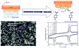 Graphical abstract: Anodization strategy to fabricate nanoporous gold for high-sensitivity detection of p-nitrophenol