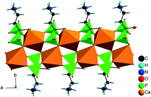 Graphical abstract: A biocompatible calcium bisphosphonate coordination polymer: towards a metal-linker synergistic therapeutic effect?