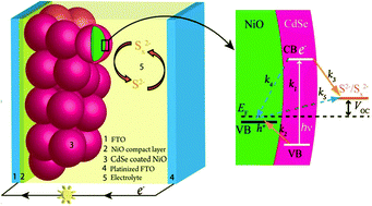 Graphical abstract: Conformal growth of nanocrystalline CdX (X = S, Se) on mesoscopic NiO and their photoelectrochemical properties