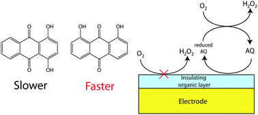 Graphical abstract: Surface modification imparts selectivity, facilitating redox catalytic studies: quinone mediated oxygen reduction