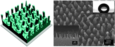 Graphical abstract: Preparation of superhydrophobic, long-neck vase-like polymer surfaces