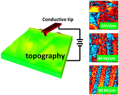 Manipulation of domain wall mobility by oxygen vacancy ordering in ...