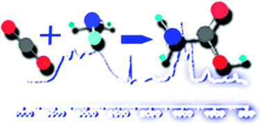 The formation of carbamate ions in interstellar ice analogues†,10.1039 ...