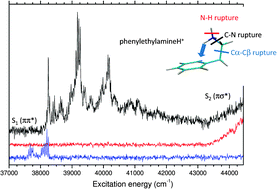 Graphical abstract: Photofragmentation spectroscopy of cold protonated aromatic amines in the gas phase