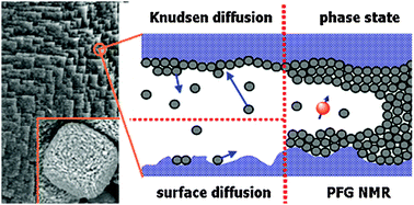 Graphical abstract: Mass transfer in mesoporous materials: the benefit of microscopic diffusion measurement