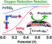 Graphical abstract: Long-term, stable, and improved oxygen-reduction performance of titania-supported PtPb nanoparticles