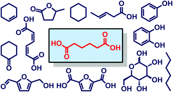 Graphical abstract: Emerging catalytic processes for the production of adipic acid