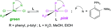 Graphical abstract: Reversible binding of water, methanol, and ethanol to a five-coordinate ruthenium(ii) complex