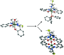 Graphical abstract: Novel rhenium(iii, iv, and v) tetradentate N2O2 Schiff base mononuclear and dinuclear complexes