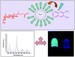 Graphical abstract: Tb3+ sensitization in a deoxycholate organogel matrix, and selective quenching of luminescence by an aromatic nitro derivative