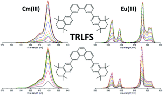 Graphical abstract: Complexation of Cm(iii) and Eu(iii) with CyMe4-BTPhen and CyMe4-BTBP studied by time resolved laser fluorescence spectroscopy