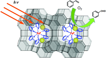 Graphical abstract: Control of physicochemical properties and catalytic activity of tris(2,2′-bipyridine)iron(ii) encapsulated within the zeolite Y cavity by alkaline earth metal cations