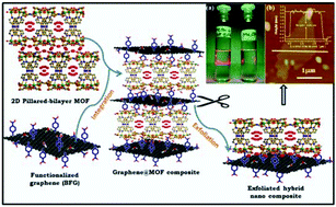 Graphical abstract: Growth of 2D sheets of a MOF on graphene surfaces to yield composites with novel gas adsorption characteristics