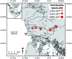 Graphical abstract: Photo-reactivity of natural dissolved organic matter from fresh to marine waters in the Florida Everglades, USA