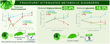 Graphical abstract: Action of an extract from the seeds of Fraxinus excelsior L. on metabolic disorders in hypertensive and obese animal models