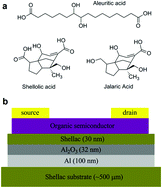 Natural resin shellac as a substrate and a dielectric layer for organic ...