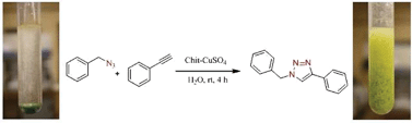 Graphical abstract: Copper on chitosan: a recyclable heterogeneous catalyst for azide–alkyne cycloaddition reactions in water