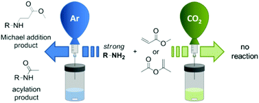 Graphical abstract: Carbon dioxide as a reversible amine-protecting agent in selective Michael additions and acylations