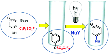 Graphical abstract: Metal-free arylations via photochemical activation of the Ar–OSO2R bond in aryl nonaflates