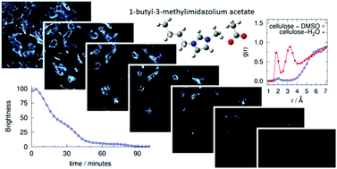 Graphical abstract: Understanding the role of co-solvents in the dissolution of cellulose in ionic liquids