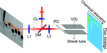 Graphical abstract: Out-of-equilibrium biomolecular interactions monitored by picosecond fluorescence in microfluidic droplets