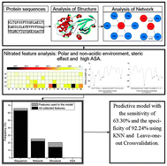 Graphical abstract: Site selectivity for protein tyrosine nitration: insights from features of structure and topological network