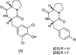 Graphical abstract: Evaluation of two cyclic di-peptides as inhibitors of CCL2 induced chemotaxis