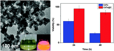 Graphical abstract: Hydrothermal synthesis of raisin-bun-like CdTe@C nanocomposites toward enhanced photoluminescence and low cytotoxicity