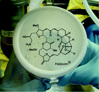 Graphical abstract: Natural product synthesis in the age of scalability