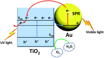 Graphical abstract: Dendritic Au/TiO2 nanorod arrays for visible-light driven photoelectrochemical water splitting