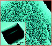 Graphical abstract: Generalized green synthesis and formation mechanism of sponge-like ferrite micro-polyhedra with tunable structure and composition