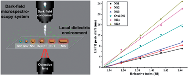 Graphical abstract: Resonant Rayleigh light scattering of single Au nanoparticles with different sizes and shapes