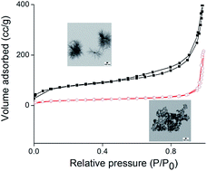 Graphical abstract: Nanoporous TiO2 nanoparticle assemblies with mesoscale morphologies: nano-cabbage versus sea-anemone