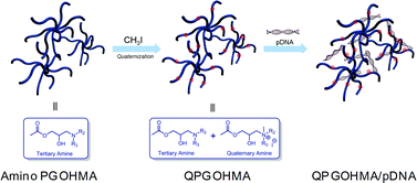 Graphical abstract: Quaternized amino poly(glycerol-methacrylate)s for enhanced pDNA delivery