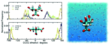 Graphical abstract: Aqueous citrate: a first-principles and force-field molecular dynamics study