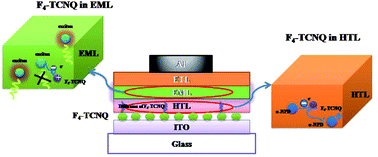 Graphical abstract: Study of 2,3,5,6-tetrafluoro-7,7′,8,8′- tetracyano quinodimethane diffusion in organic light emitting diodes using secondary ion mass spectroscopy