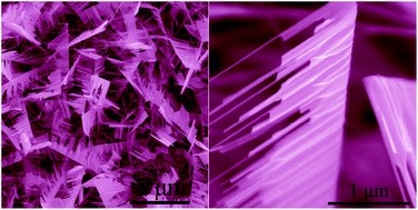 Graphical abstract: Field emission performance of hierarchical ZnO nanocombs