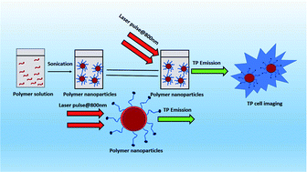 Graphical abstract: Two-photon active polymeric nanoparticles for high contrast in vitro imaging