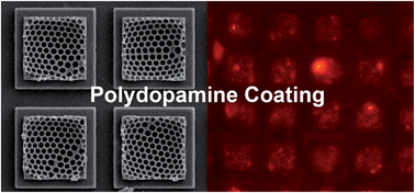 Graphical abstract: Engineering microstructured porous films for multiple applications via mussel-inspired surface coating