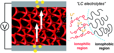 Graphical abstract: Nanostructured organic electrolytes